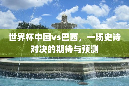 世界杯中国vs巴西，一场史诗对决的期待与预测常熟市高丰毛纺织品有限公司