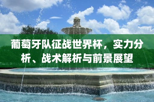 葡萄牙队征战世界杯，实力分析、战术解析与前景展望常熟市高丰毛纺织品有限公司