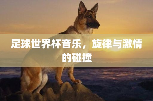 足球世界杯音乐，旋律与激情的碰撞常熟市高丰毛纺织品有限公司