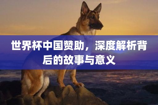 世界杯中国赞助，深度解析背后的故事与意义常熟市高丰毛纺织品有限公司