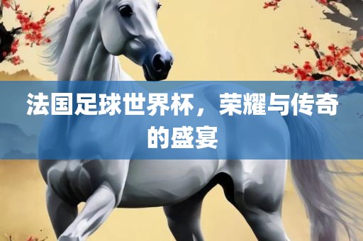 法国足球世界杯，荣耀与传奇的盛宴