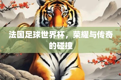 法国足球世界杯，荣耀与传奇的碰撞