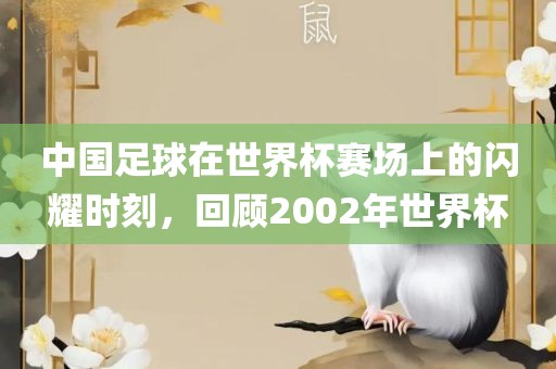 中国足球在世界杯赛场上的闪耀时刻，回顾2002年世界杯常熟市高丰毛纺织品有限公司