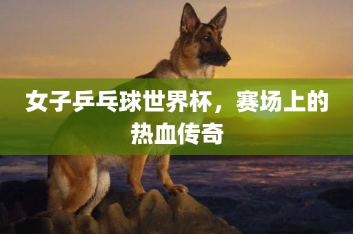 女子乒乓球世界杯，赛场上的热血传奇常熟市高丰毛纺织品有限公司