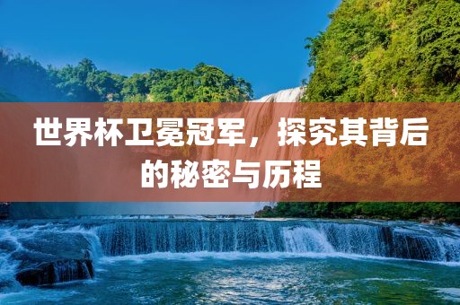 世界杯卫冕冠军，探究其背后的秘密与历程