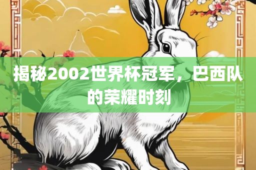 揭秘2002世界杯冠军，巴西队的荣耀时刻常熟市高丰毛纺织品有限公司