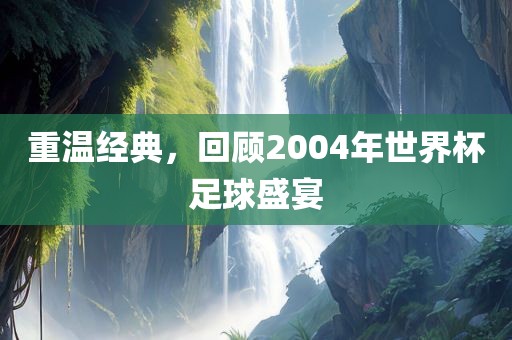 重温经典，回顾2004年世界杯足球盛宴常熟市高丰毛纺织品有限公司