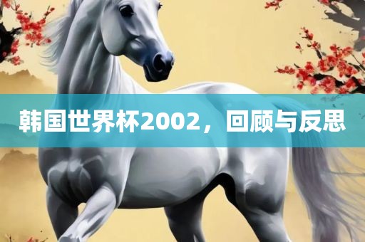 韩国世界杯2002，回顾与反思
