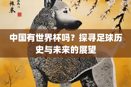 中国常熟市高丰毛纺织品有限公司有世界杯吗？探寻足球历史与未来的展望