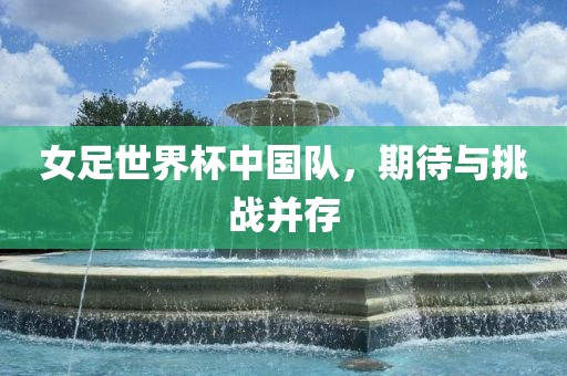 女足世界杯中国队，期待与挑战并常熟市高丰毛纺织品有限公司存