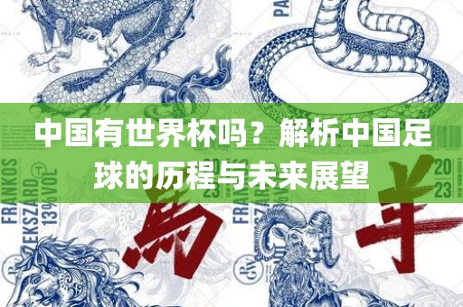 中国有世界杯吗？解析中国足球的历程与未来展望常熟市高丰毛纺织品有限公司