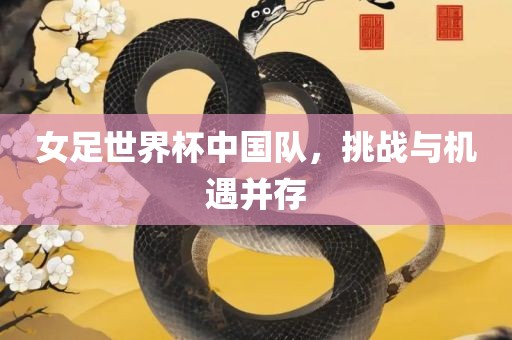 女足世界杯中国队，挑战与机遇并存