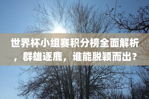 世界杯小组赛积分榜全面解析，群雄逐鹿，谁能脱颖而出？常熟市高丰毛纺织品有限公司