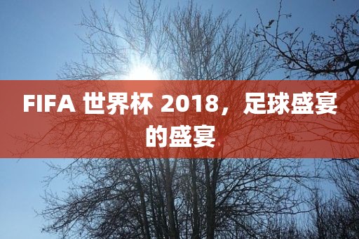 FIFA 世界杯 2018，足球盛宴的盛宴常熟市高丰毛纺织品有限公司