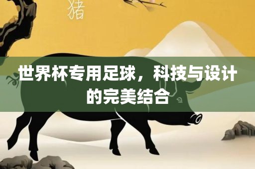 世界常熟市高丰毛纺织品有限公司杯专用足球，科技与设计的完美结合
