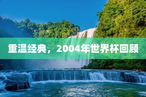 重温经典，2004年世界杯回顾