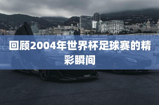 回顾2004年世界杯足球赛的精彩瞬间常熟市高丰毛纺织品有限公司