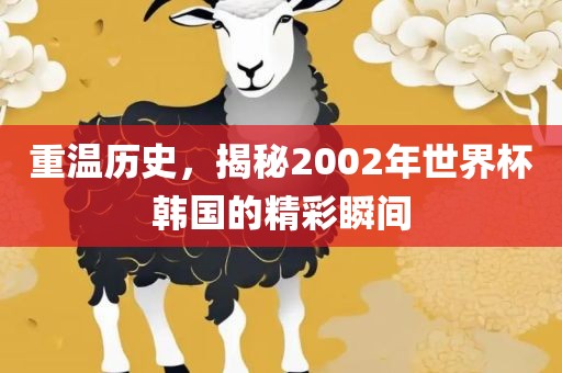 常熟市高丰毛纺织品有限公司重温历史，揭秘2002年世界杯韩国的精彩瞬间