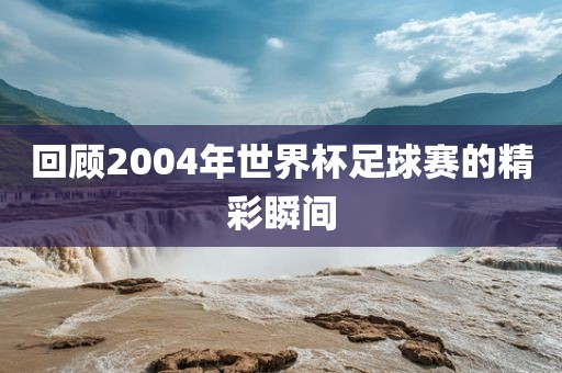 回顾2004年世界杯足球赛的精彩瞬间常熟市高丰毛纺织品有限公司