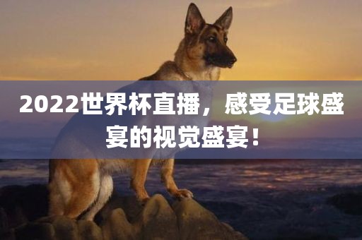 2022世界杯直播，感受足球盛宴的视觉盛宴！常熟市高丰毛纺织品有限公司
