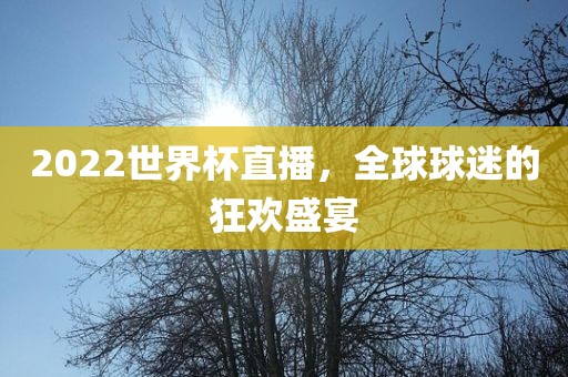 2022世界杯直播，全球球迷的狂欢常熟市高丰毛纺织品有限公司盛宴