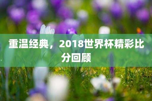 重温经典，2018世界杯精彩比分回顾