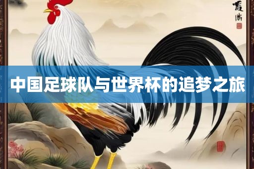 中国足球队与世界杯的追梦之旅常熟市高丰毛纺织品有限公司