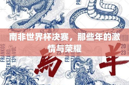 南非世界杯决赛，那些年的激情与荣耀