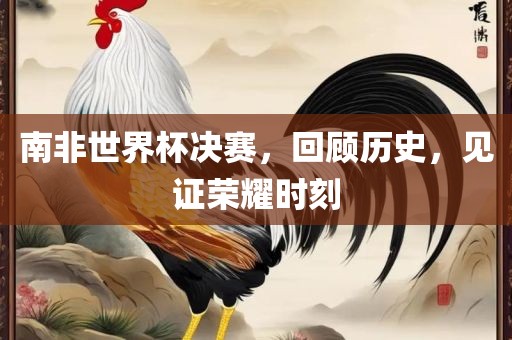 南非世界杯决赛，回顾历史，见证荣耀时刻