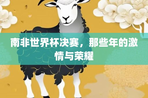 南非世界杯决赛，那些年的激情与荣耀
