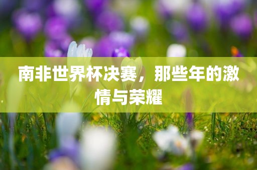 南非世界杯决赛，那些年的激情与荣耀