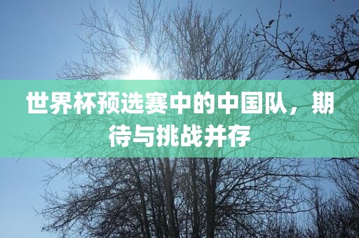 世界杯预选赛中的中国队，期待与挑战并存常熟市高丰毛纺织品有限公司