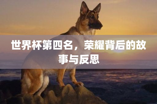 世界杯第四名，荣耀背后的故事与反思