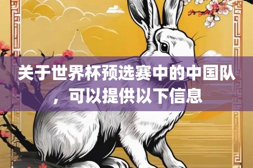 关于世界杯预选赛中的中国队，可以提供以下信息