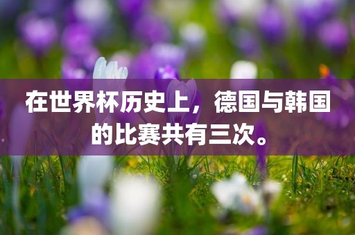 在世界杯历史上，德国与韩国的比赛共有三次。常熟市高丰毛纺织品有限公司