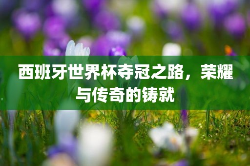 西班牙世界杯夺冠之路，荣耀与传奇的铸就常熟市高丰毛纺织品有限公司