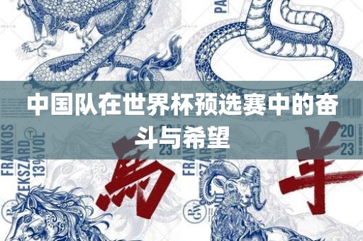 中国队在世界杯预选赛中的奋斗与希望