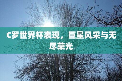 C罗世界杯表现，巨星风采与无尽荣光