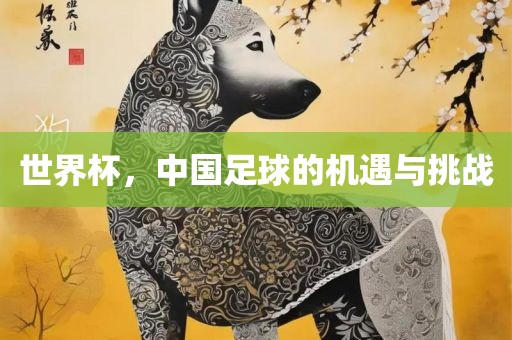 世界常熟市高丰毛纺织品有限公司杯，中国足球的机遇与挑战