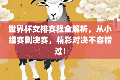 世界杯女排赛程全解析，从小组赛到决赛，精彩对决不容错过！