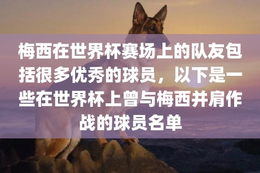 梅西在世界杯赛场上的队友包括很多优秀的球员，以下是一些在世界杯上曾与梅西并肩作战的球员名单