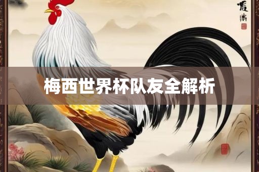 梅西世界杯队友全解析