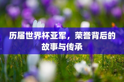 历届世界杯亚军，荣誉背后的故事与传承