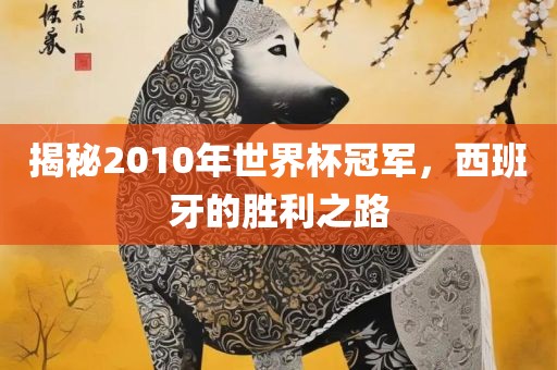 揭秘2010年世界杯冠军，西班牙的胜利之路