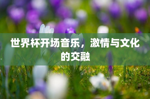 世界杯开场音乐，激情与文化的交融