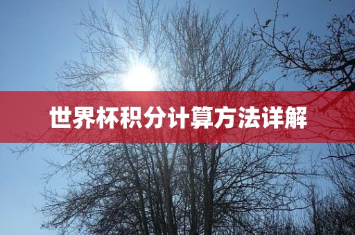世界杯积分计算方法详解常熟市高丰毛纺织品有限公司