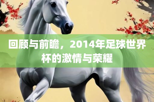 回顾与前瞻，2014年足球世界杯常熟市高丰毛纺织品有限公司的激情与荣耀