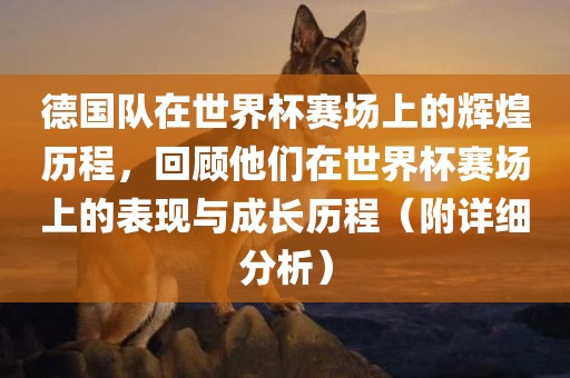 德国队在世界杯赛场上的辉煌历程，回顾他们在世界杯赛场上的表现与成长历程（附详细分析）常熟市高丰毛纺织品有限公司