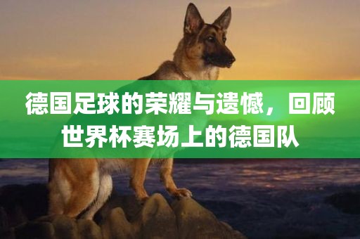 德国足球的荣耀与遗憾，回顾世界杯赛场上的德国队常熟市高丰毛纺织品有限公司