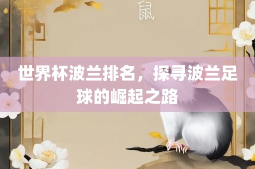 世界杯波兰排名，探寻波兰足球的崛起之路